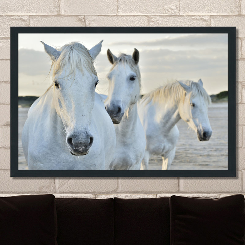 « white horse », reproduction de photo encadrée, H 35,5 po x l 51,5 po x P 0,75 po