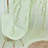 Altino Semi Sheer Curtain Single Panel-1862808712-1862808715