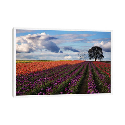 Tulip Festival - Print on Canvas