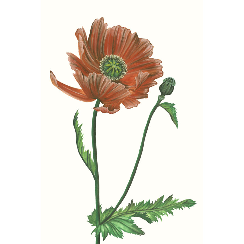 Poppy Flower III by Melissa Wang - Painting, Wrapped Canvas, 76 cm H x 51 cm W