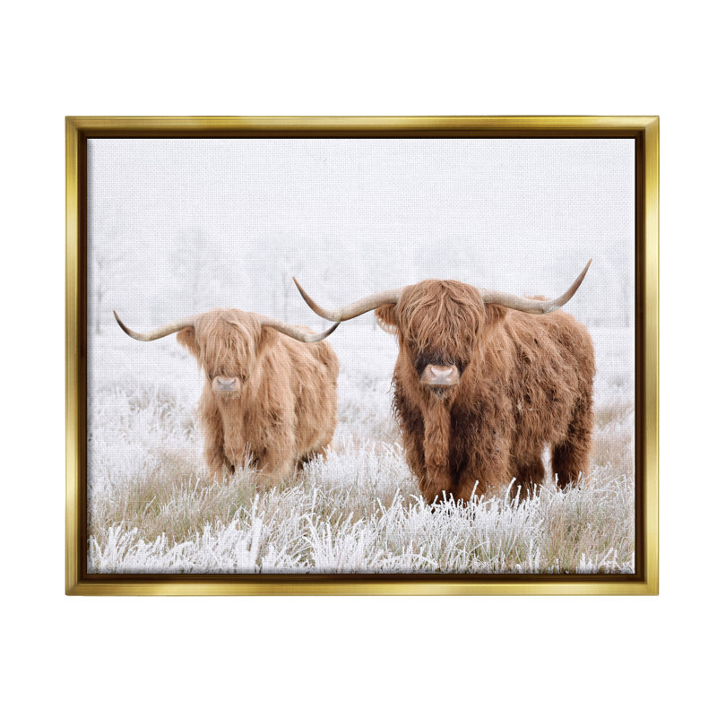 Vaches Longhorn dans la neige, Cadre flottant doré, H 17 po x l 21 po x P 1,7 po