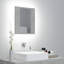 LED Bathroom Mirror Cabinet 40x12x45 cm Acrylic-362681357