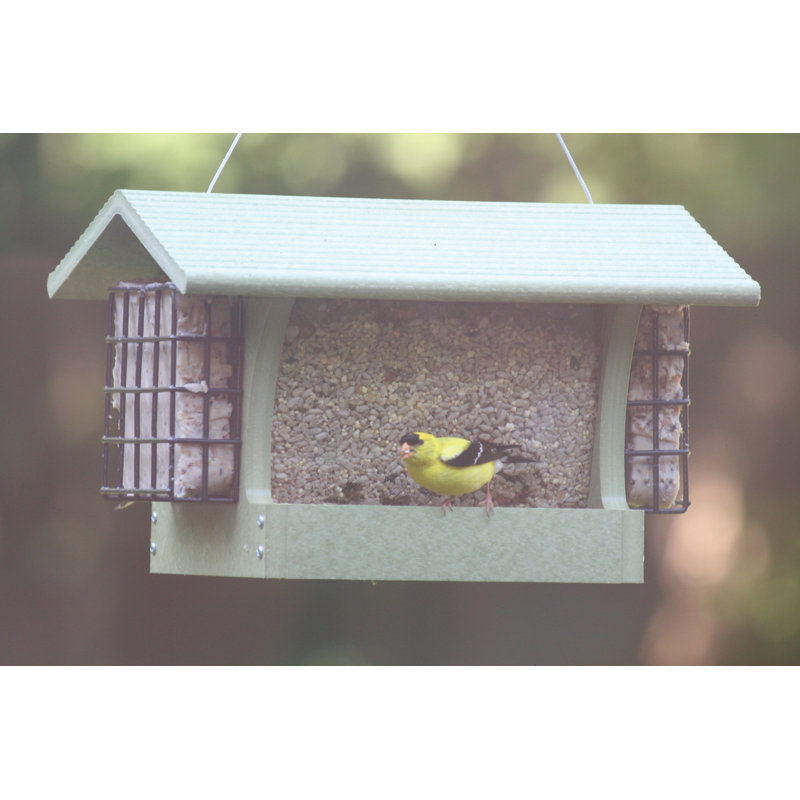 Medium Hopper Bird Feeder with Suet Cages in Green Recycled Plastic, 8" H x 8.75" W x 13" D