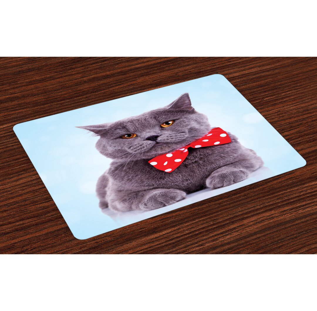 Platzmatten, Grau Scottish Fold Theme, Katze, Hellblau Lila Blau