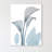 " Serene Calla Lilly "-23605146