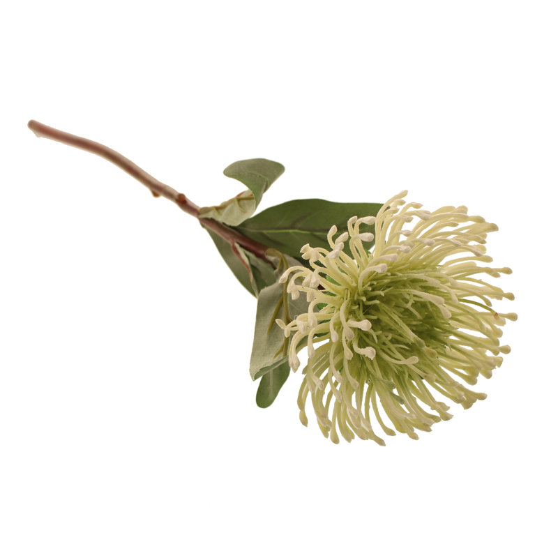 Banksia Arrangement, White
