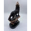 Sampson loup sur un rocher