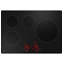 29.75" Induction Cooktop with 4 Elements