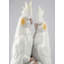 Figurine nymphes in Love