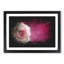 Lone Pink Rose Paint Splash - Picture Frame Graphic Art-56865432-56865431