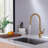 Dilon Pull Down Kitchen Faucet