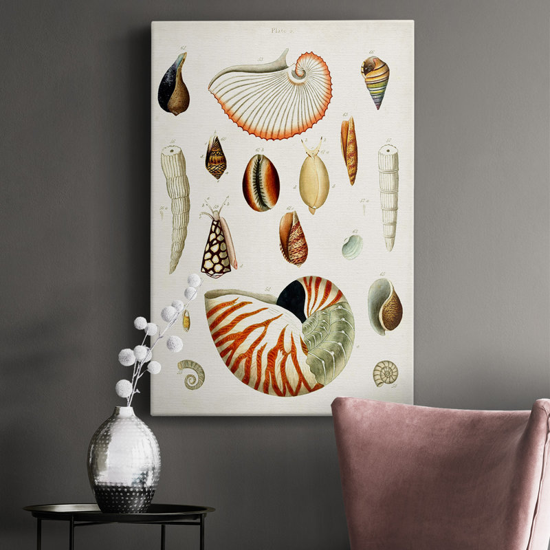 Impression sur toile tendue, collection Antique Shell I, L 12 po x H 18 po