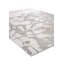 Postmoderne biologique-796821745