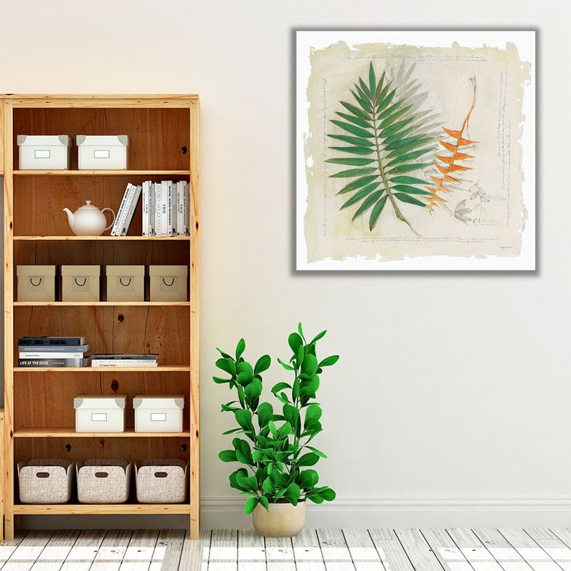 «Botanical Study II», reproduction d'art sur toile, H 12 po x l 12 po