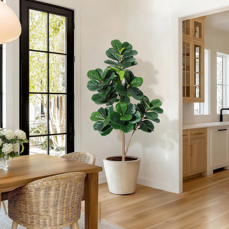 150cm Plant