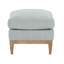 Leo Ottoman