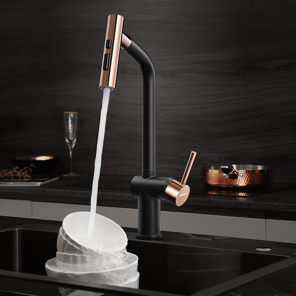 Designer Collection Pull Down Kitchen Faucet