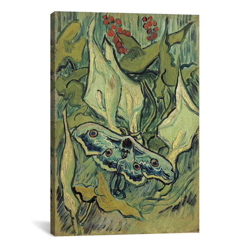 " Emperor Moth " by Vincent Van Gogh, 40" H x 26" W x 1.5" D
