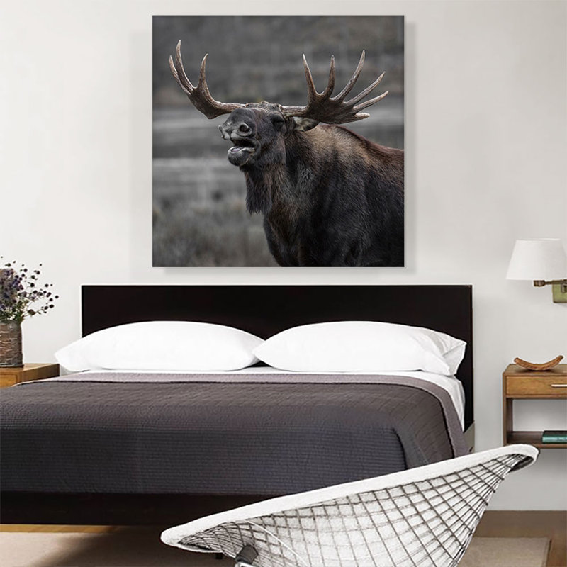 «Alaskan Moose Home Decor», reproduction de photo sur toile tendue, H 36 po x l 36 po x P 0,75 po