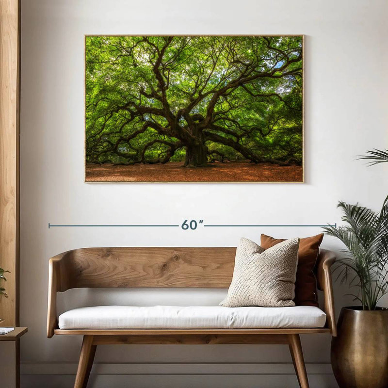 Chêne, Cadre flottant en bois naturel, 46 po x 31 po
