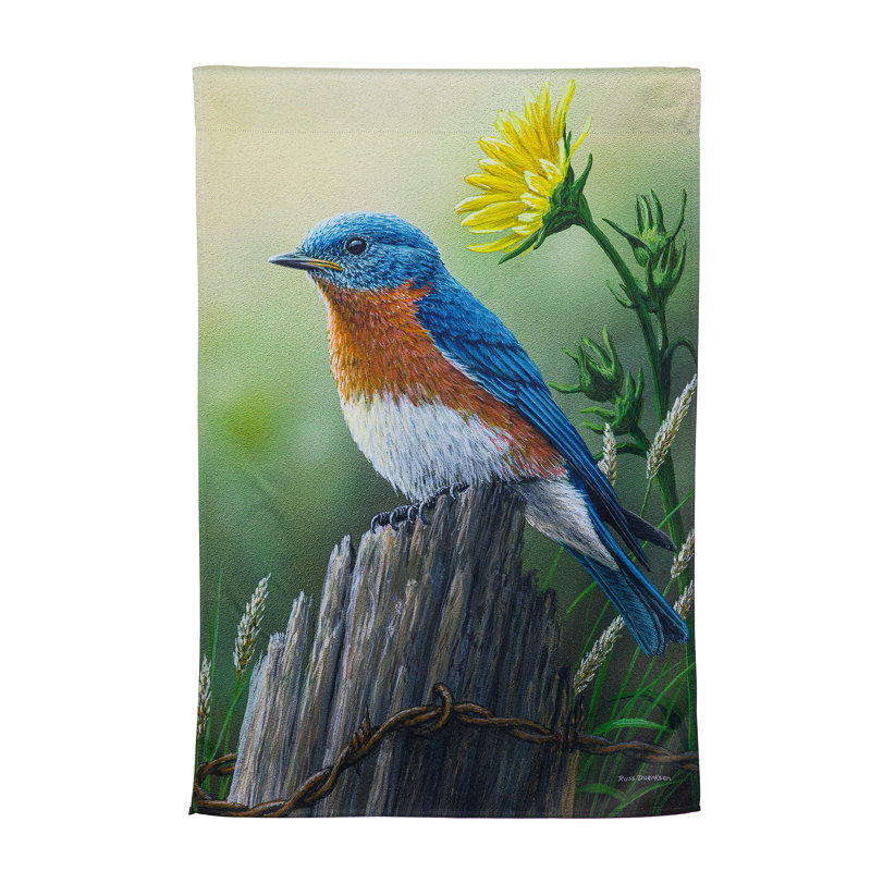 Drapeau de maison Eastern Bluebird