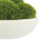 5" Artificial Moss Plant in Planter-729850857