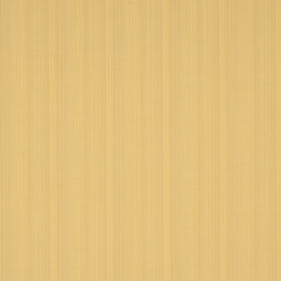 Schumacher x Mark D. Sikes Gracie Solid Strie Fabric