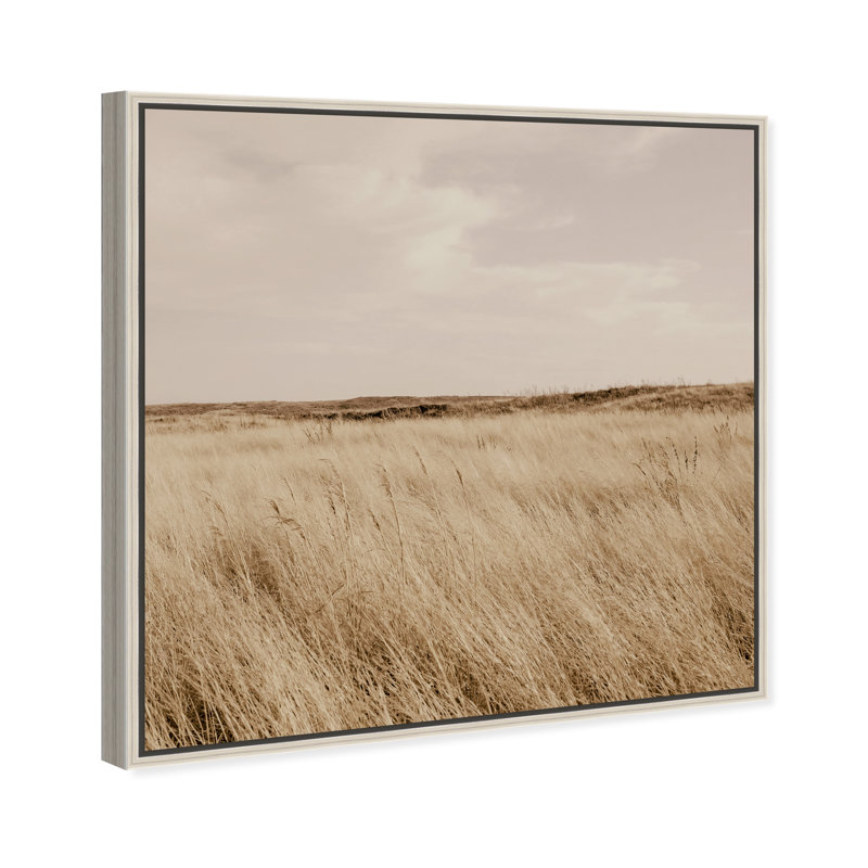 Golden Nature Print by Oliver Gal, 13" H x 13" W, Silver Floater Frame