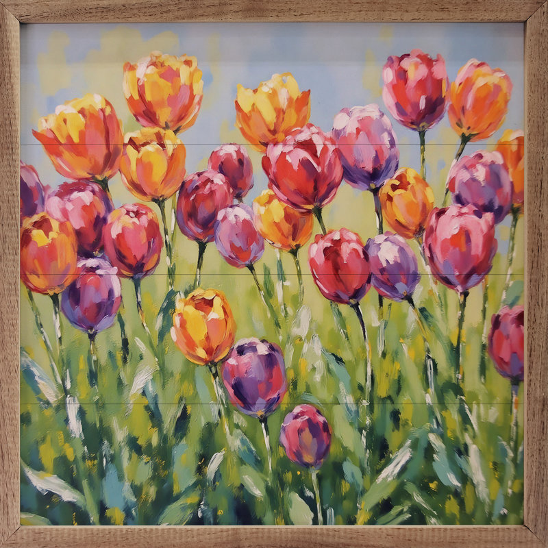 Champ de tulipes, H 4 po x l 4 po