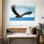 Aigle en vol-1366346651