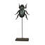 Small Stag Beetle on Stand