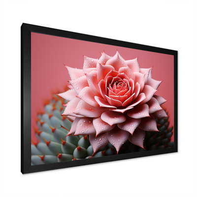 " Cactus Rose Resilience "