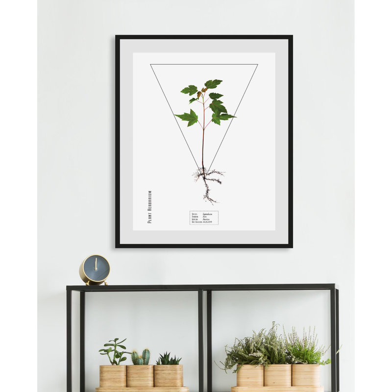 Plant - Single Picture Frame Print