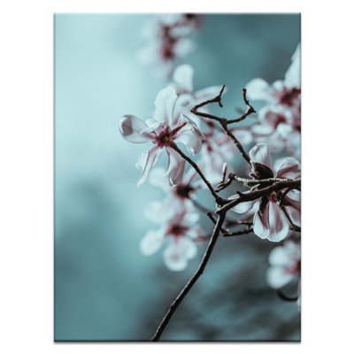 Print on Canvas