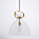 Shay Single Light Glass Dimmable Pendant