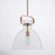 Shay Single Light Glass Steel Dimmable Pendant