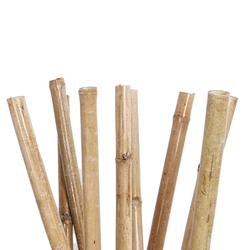 66" Artificial Bamboo Branch in Planter