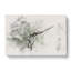 Perched Dragonfly Watercolour - Wrapped Canvas-56659485