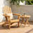 Chaslynn Grade A Teak Adirondack Chair with Teak Folding Table-1379176791