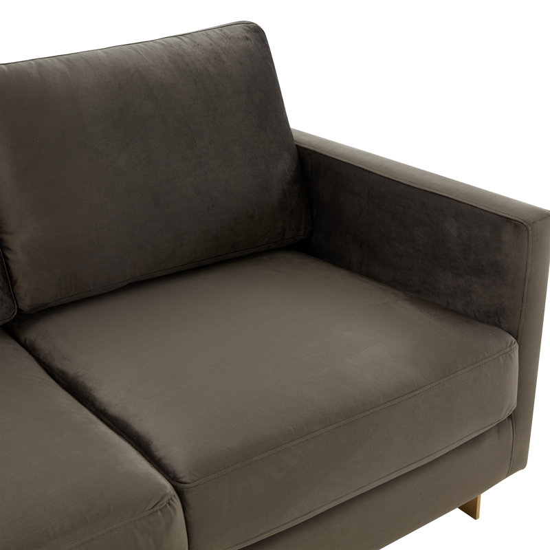 Bellago 55" Pre-Assembled Upholstered Velvet Loveseat with Modern Gold Frame, Dark Gray Velvet