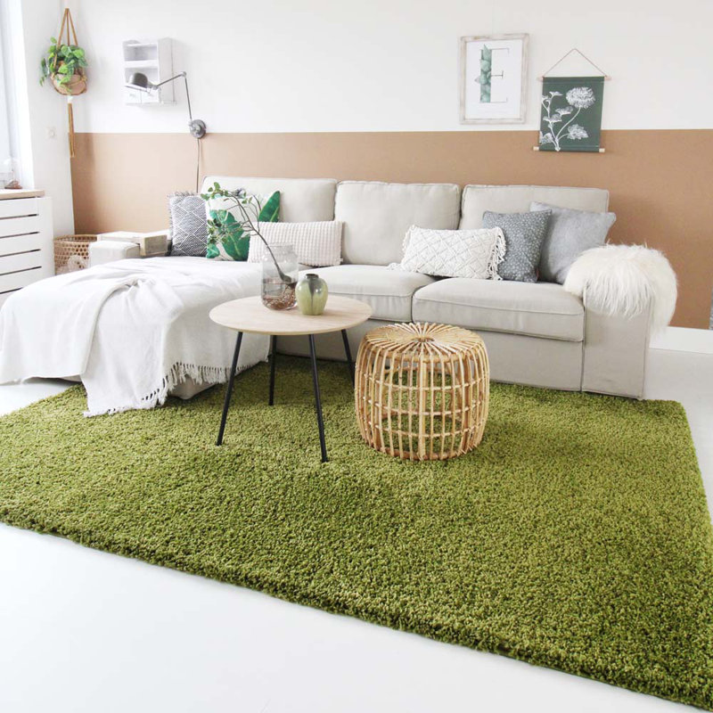 Aloysia High Pile Shaggy Green Rug, Rectangle 240 x 340cm