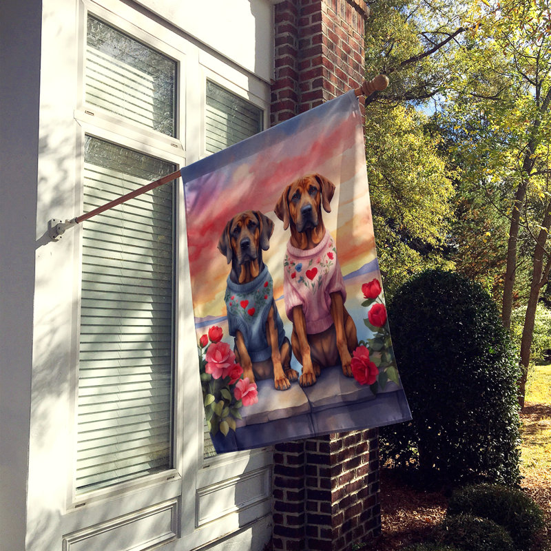 Double Sided 40'' H x 28'' W Polyester Valentine's Day House Flag