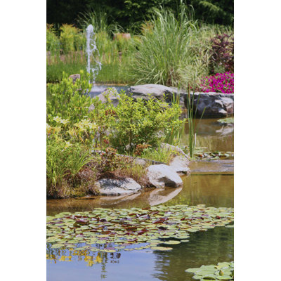 " Water Pond "