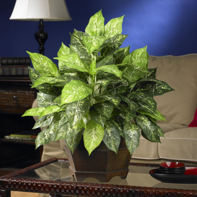 24'' Faux Foliage Plant in Wood Planter