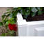Zirke Wood Garden Bench-13249241