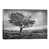 Toile tendue