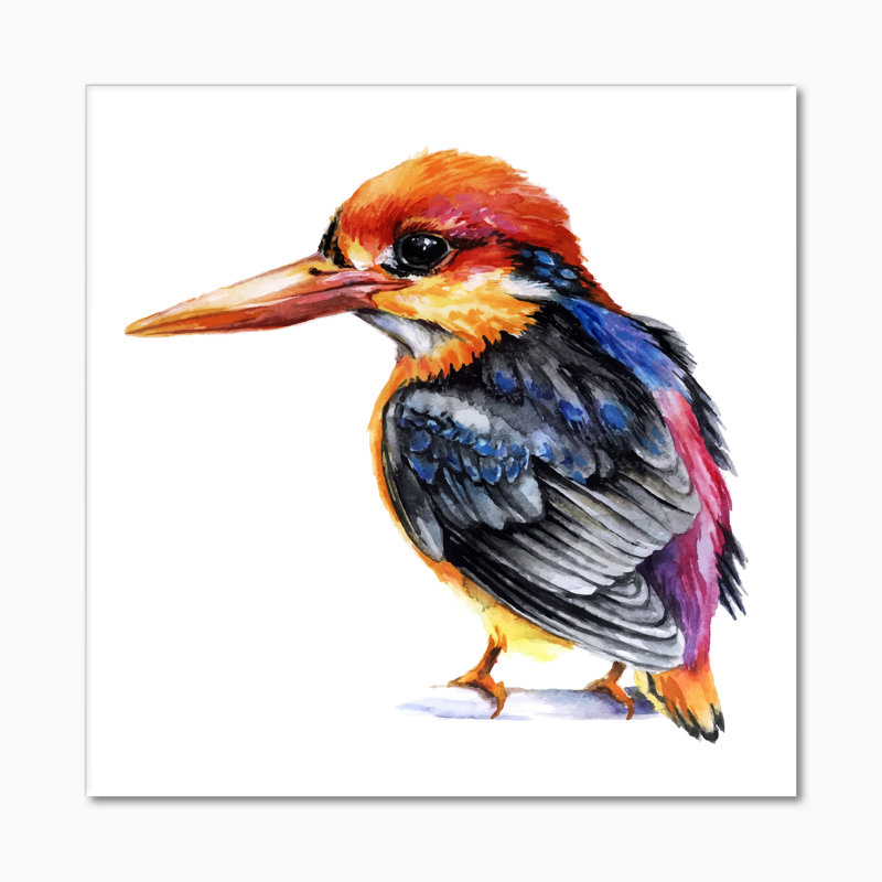 Oiseau martin-pêcheur coloré, H 30 po x l 30 po x P 1 po, Toile tendue