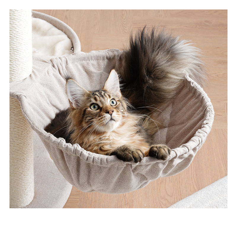 Modern 65''H Extra Large Multi-Function Cat Tree for Big Cats&MaineCoon