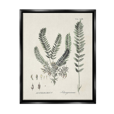 «Forest Leaves Diagram Floater Frame» par Martini sur toile