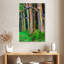 Arbres d'eucalyptus Alvord Maui Rainbow-108236450